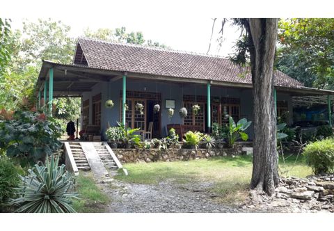 Bangunan Homestay Sidodadi