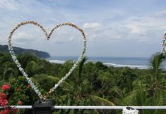Nearby View and Attractions 4 Losmen Kinasih Puncak & Gazebo Pandang