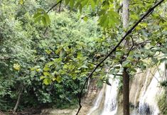 Atraksi di Area Sekitar 5 Sor Sawo Krebet Homestay
