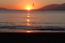 附近景观和景点 Banyuwangi Sunrise Homestay