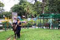 สิ่งอำนวยความสะดวกด้านความบันเทิง Glamping @ Bukit Timah HorseCity