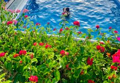 スイミングプール 4 Jade Scene Hotel