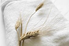 숙소 서비스 Leaf Hotel Phu Quoc