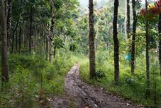 周邊景點與觀光 OYO Homes 90997 Eco Tourism Desa Cibodas Babakan Gentong 2 Syariah