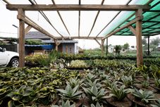 Nearby View and Attractions OYO Homes 91006 Eco Tourism Desa Cibodas Areng 5 Syariah