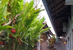 Exterior 2 EXPRESS O 91294 Bali Surya Surfcamp