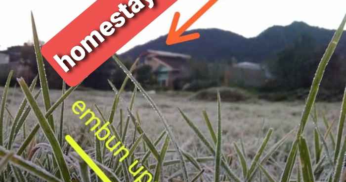 Atraksi di Area Sekitar Homestay Cemeti Dieng