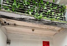 외관 4 The London Living Benhil BunkBed