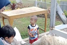 休闲设施 Shinta Corner 2 Ranch Hotel