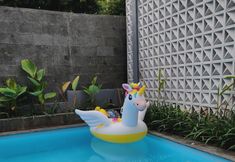 Kolam Renang 2 Kayana Pinus Villa Batu