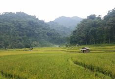 Nearby View and Attractions 3 Le Pandai