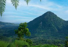 Lainnya 4 THE UPPER CLIFT RESORT & CAFE