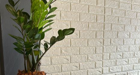 로비 2 Good Hostel Patong