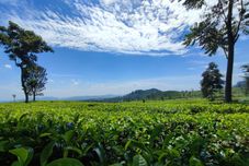 Nearby View and Attractions Villa Balbey Ciater