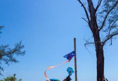 Nearby View and Attractions 4 Micky Monkey Beach