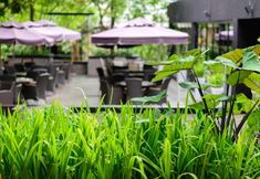 Restaurant 4 The Greenery Resort Khao Yai