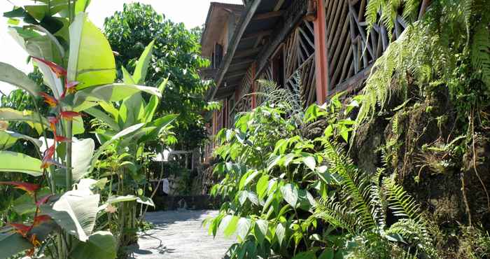 Bên ngoài Toba Cats Garden