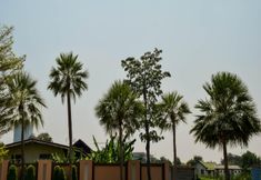 ภายนอกอาคาร 3 Alexandria Pakkred