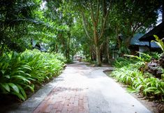 Exterior 3 Sand Sea Resort
