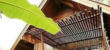 ภายนอกอาคาร 2 Baankorpai Amphawa