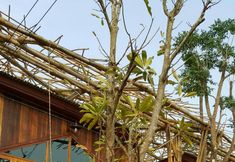 Exterior 2 Baan Kai Muan