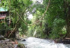 Exterior 5 Tree Tops River Huts