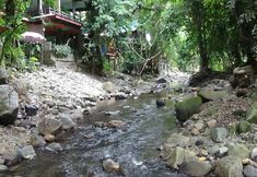 Exterior 6 Tree Tops River Huts