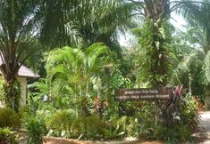 Exterior 4 Khao Sok Palm Garden Resort