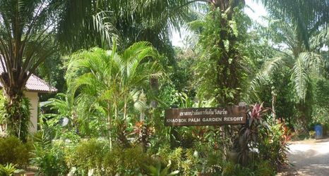 Exterior 2 Khao Sok Palm Garden Resort