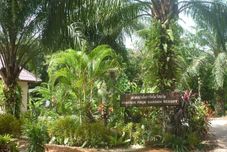 Exterior Khao Sok Palm Garden Resort