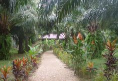 Common Space 5 Khao Sok Palm Garden Resort