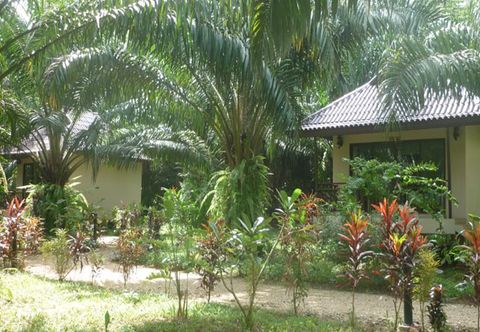 Common Space Khao Sok Palm Garden Resort