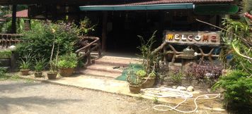 Lobby 5 Khao Sok Palmview Resort