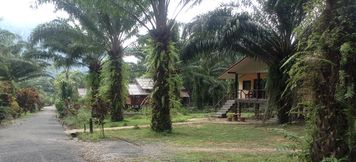 Common Space 3 Khao Sok Palmview Resort