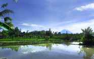 Nearby View and Attractions 7 Temuku Villas Ubud