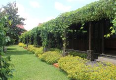 Common Space 4 Joglo Ayem Tentrem