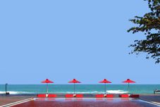 スイミングプール The Library