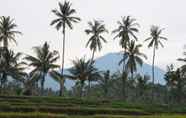 วิวและสถานที่ท่องเที่ยวใกล้เคียง 6 Paddy Hills Homestay