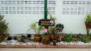 Kanghun Vintage Resort, THB 424.81