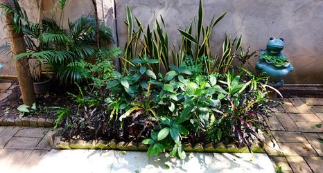 ภายนอกอาคาร 2 Pim's BB