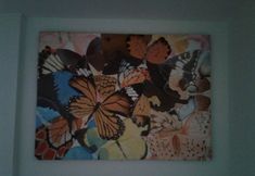 Bedroom 5 Maepian Hostel