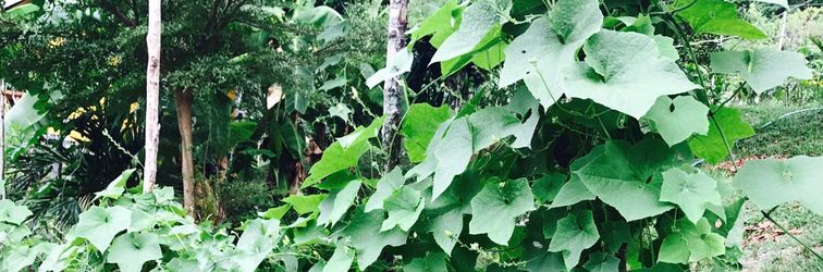 大廳 Sang Un Bungalow