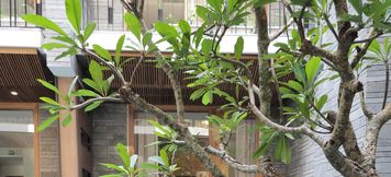 Hồ bơi 2 Minh House