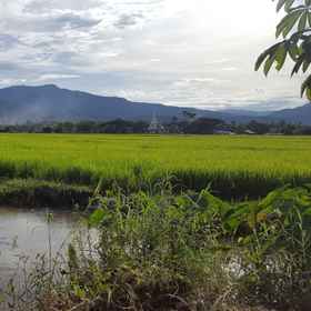 Camp Story1 , 飯店fernpresso @Khun Chang Khian