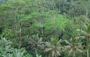 Nearby View and Attractions 6 Tirta Asri Ubud Villa