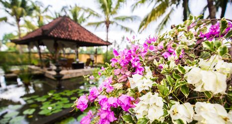 Exterior 2 Vision Villa Resort