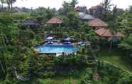 Swimming Pool 2 Villa Capung Mas