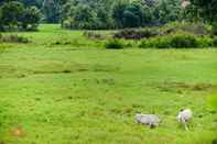 วิวและสถานที่ท่องเที่ยวใกล้เคียง Huean Chaemrath