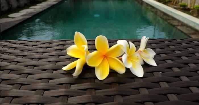 Kolam Renang Eka Bali Guest House 