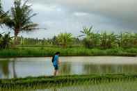 Tempat Tarikan Berdekatan Fish Mini Bali